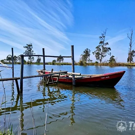 Geninha * Aveiro